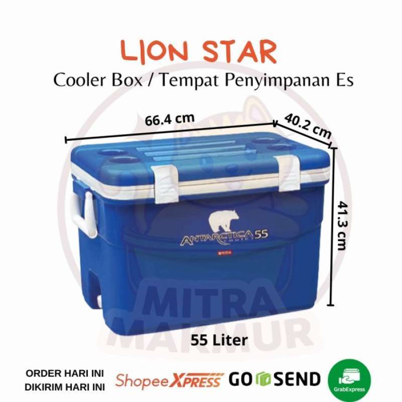 Cooler best sale box besar