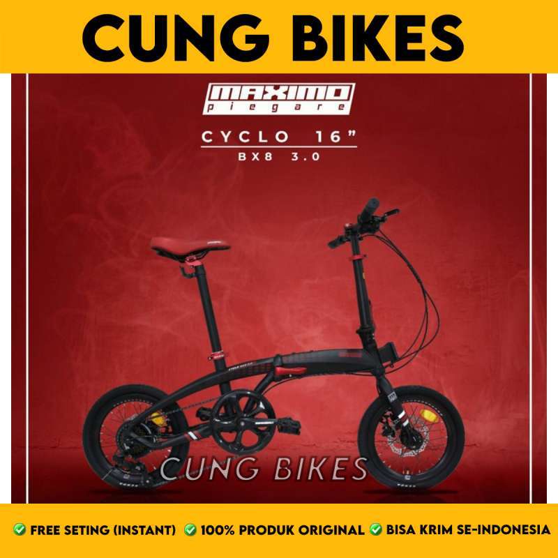 Maximo shop folding bike