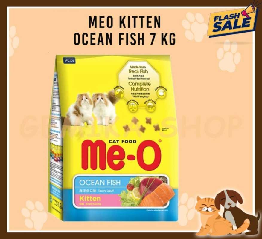 Meo kitten ocean fish hot sale