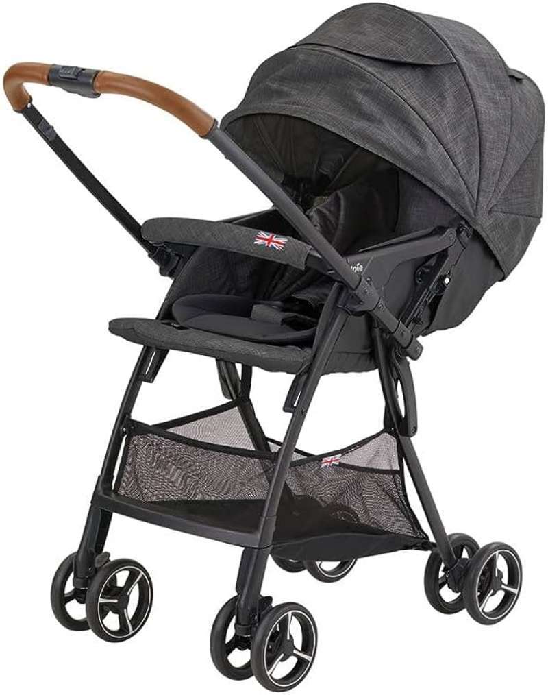 Joie reversible stroller hotsell