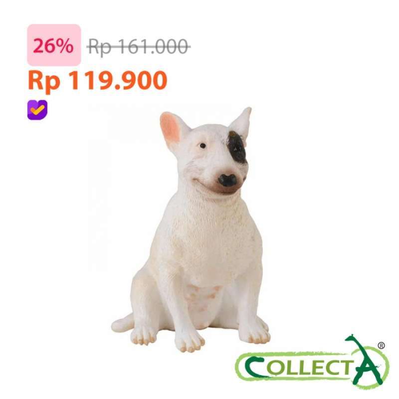 Jual miniature bull terrier discount
