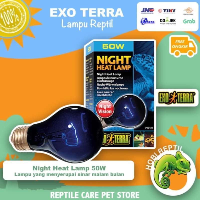 Exo terra night heat lamp 50w sales