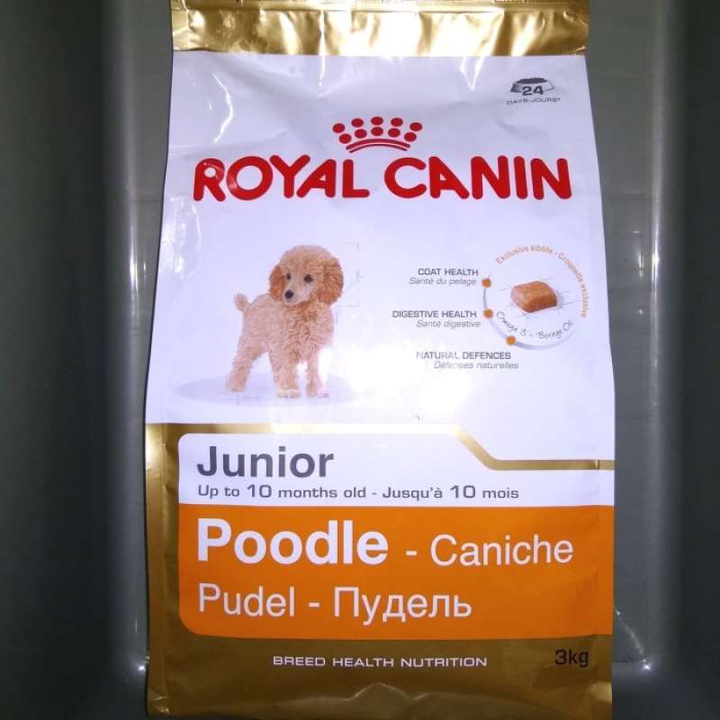 Poodle junior sales royal canin