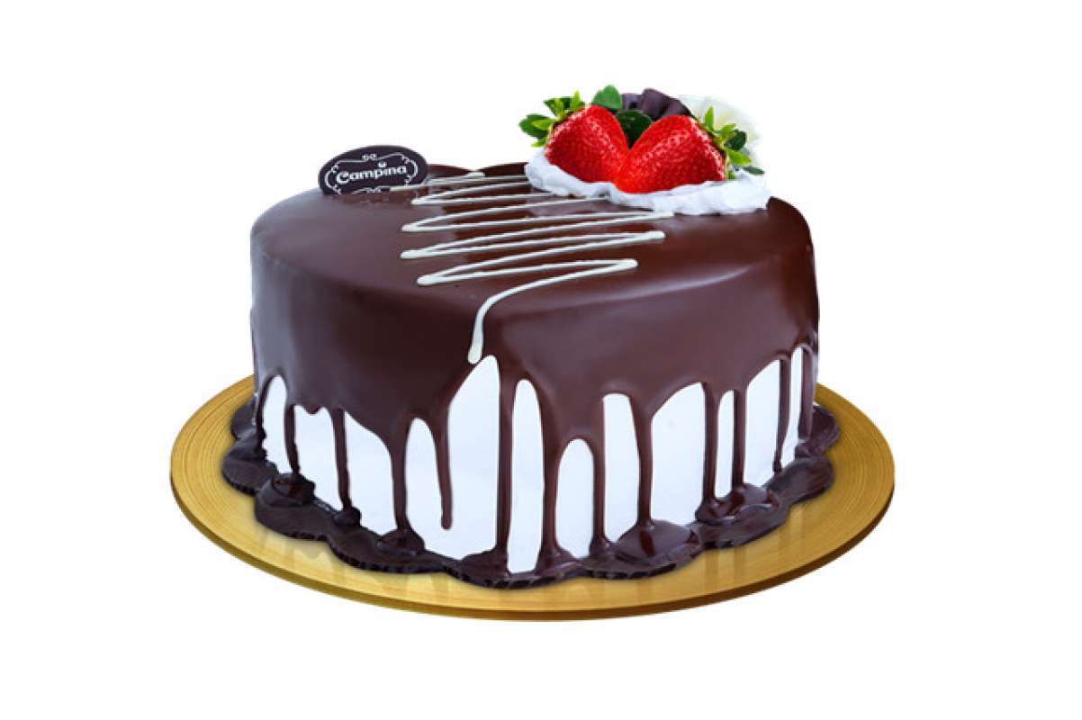 Campina ice cream cake deals