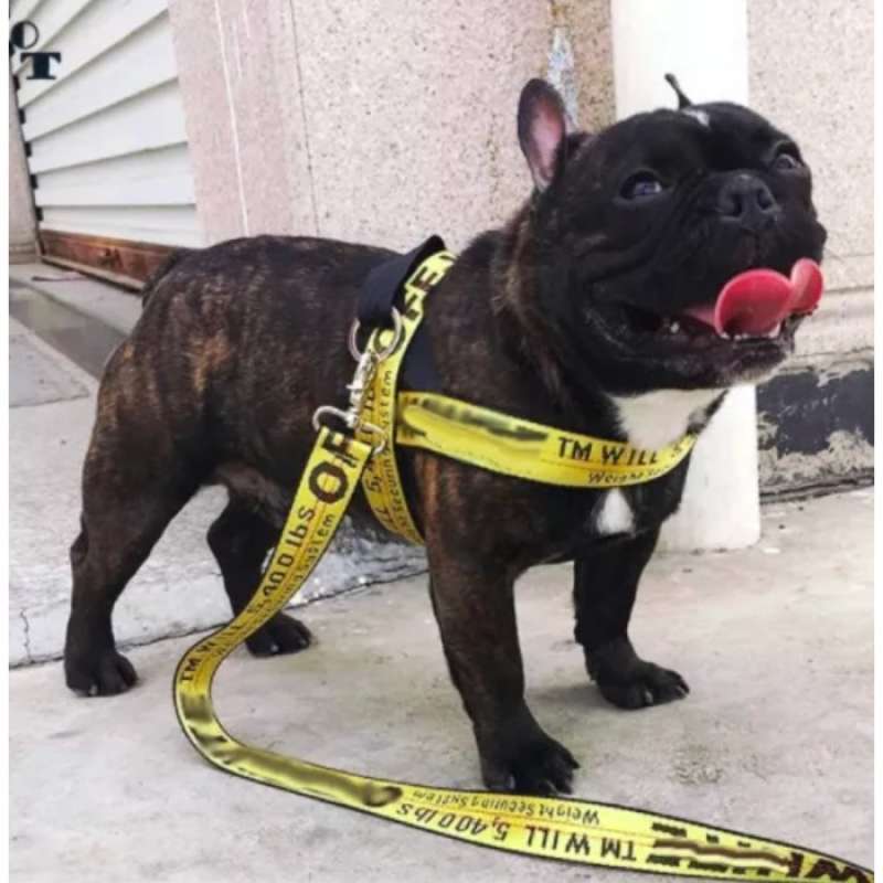 Off white brand dog hot sale leash