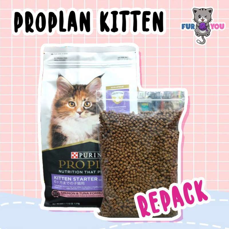 Pro plan kitten harga shop