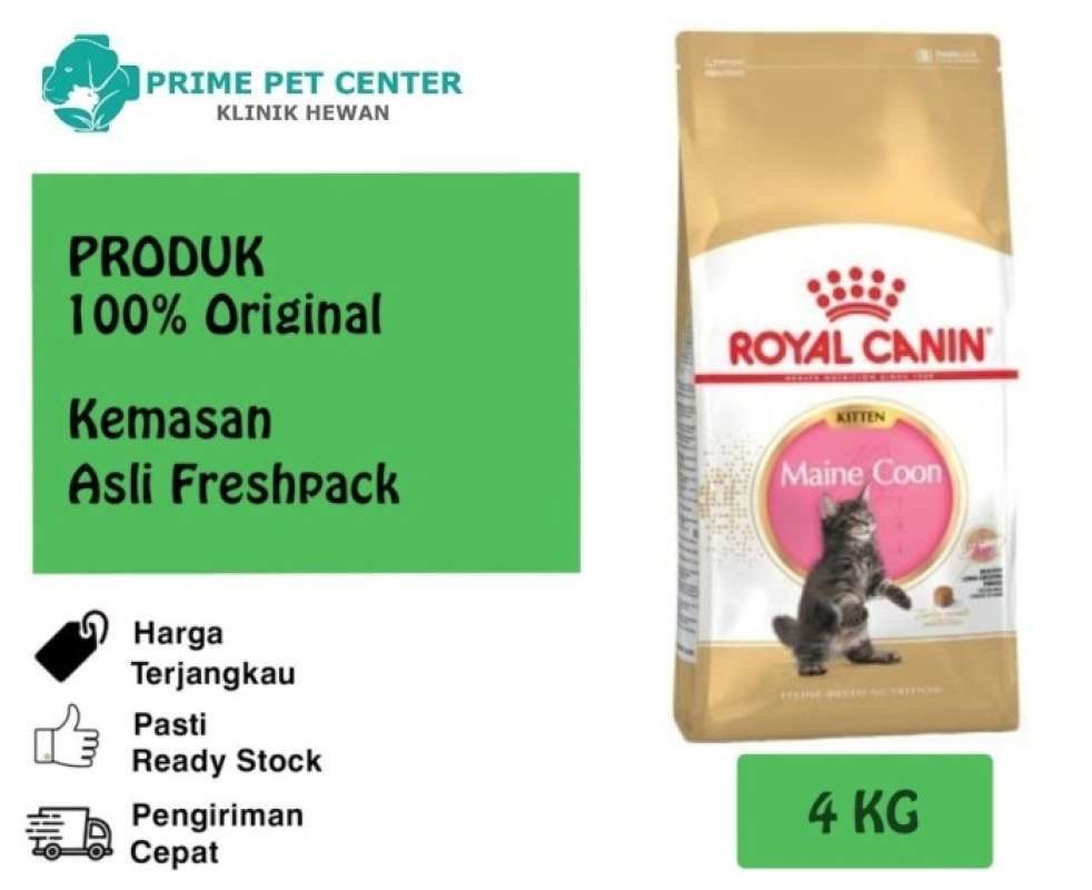 Royal canin maine coon kitten clearance 4 kg