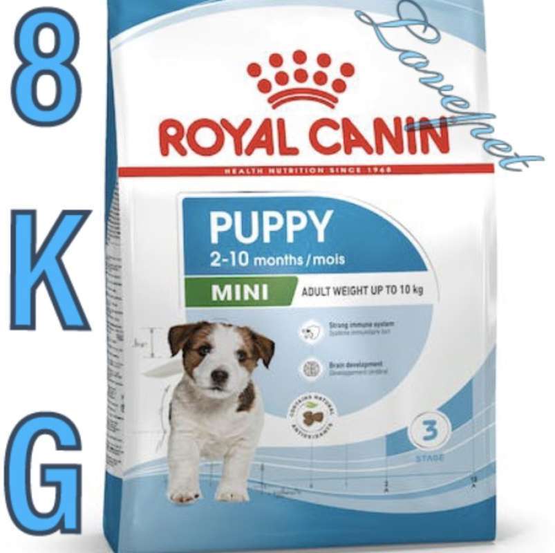 Royal canin puppy deals mini junior