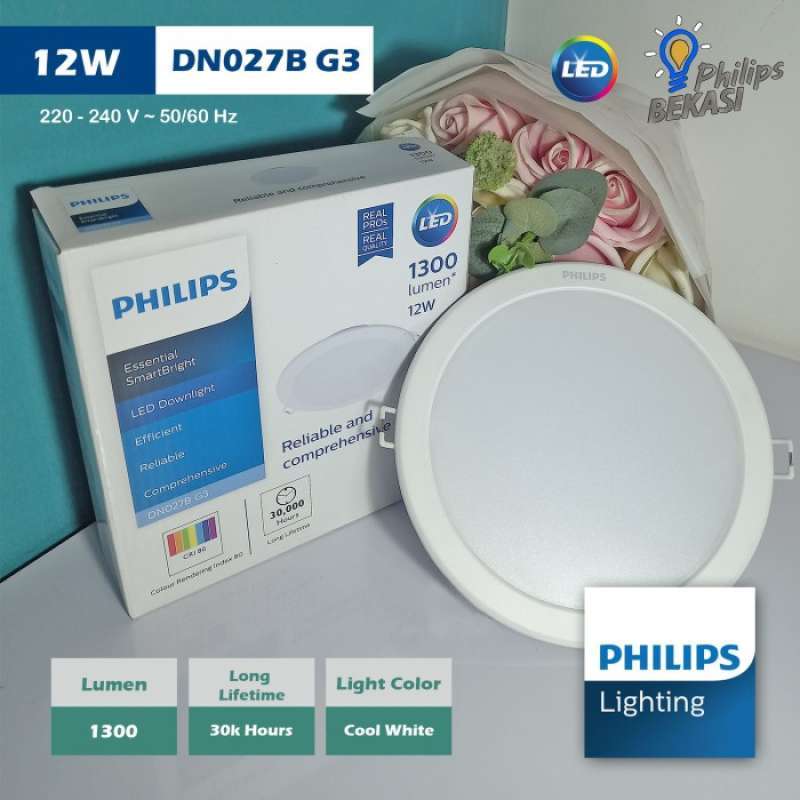Downlight philips new arrivals 6 inch