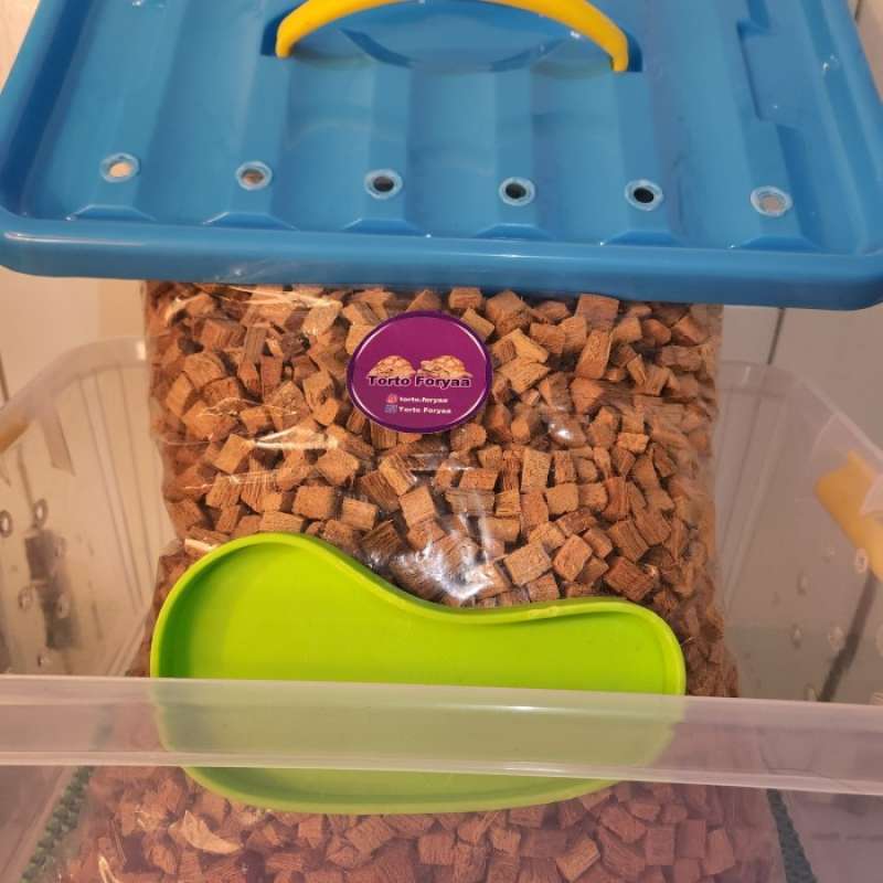 Tortoise travel cheap carrier