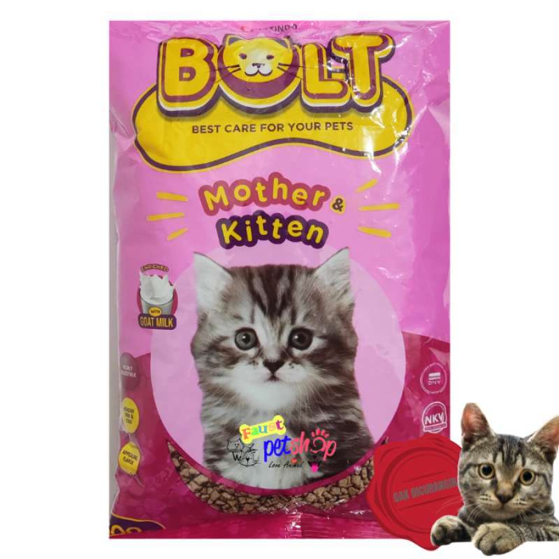Mom and kitten food online