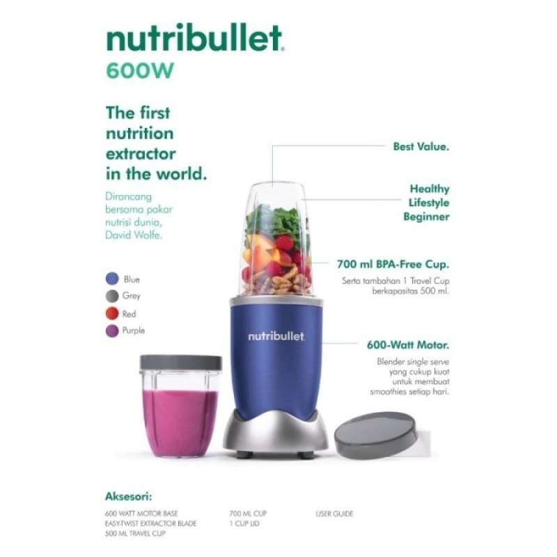 NutriBullet 600W Personal Blender - Matte Mint Green, NutriBullet