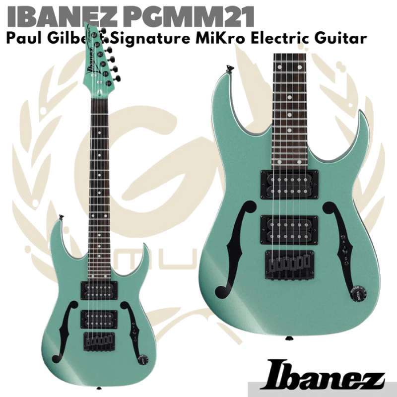 Ibanez shop pgm mikro
