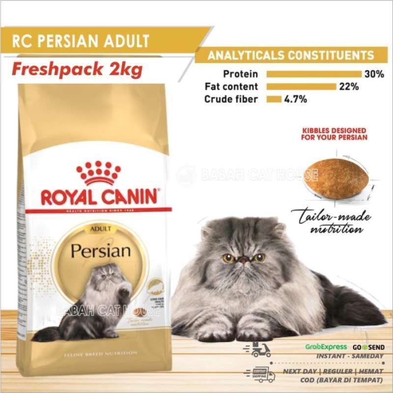 Rc 2025 persian adult