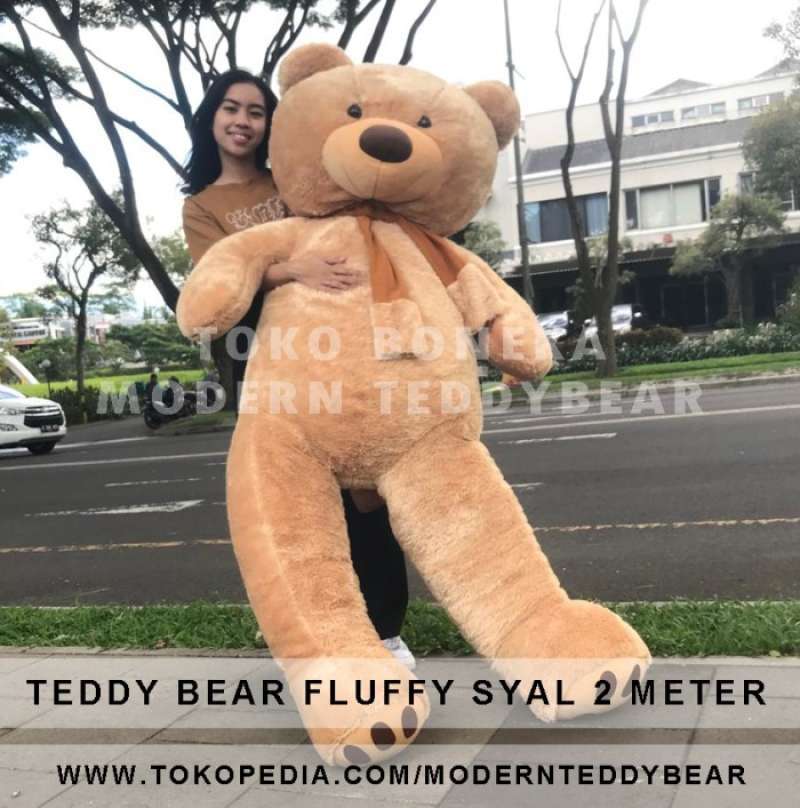 Jual Boneka Beruang Teddy Bear Fluffy Syal Jumbo 2 Meter Di Seller Premier Market Id Cengkareng Timur Kota Jakarta Barat Blibli