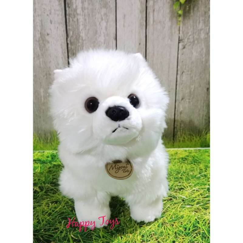 Anjing sales pomeranian mini