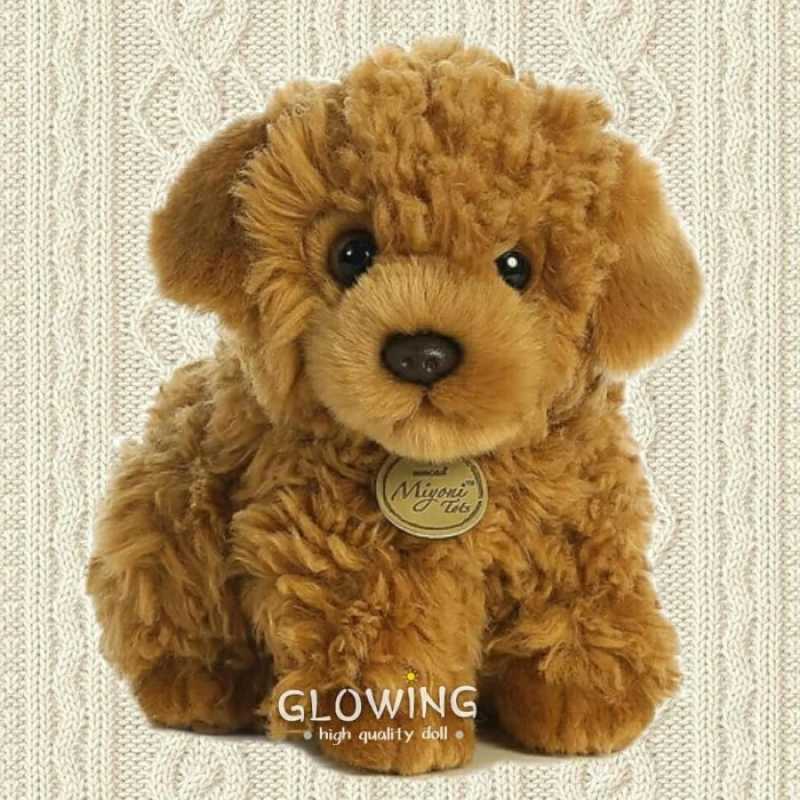Jual poodle hot sale