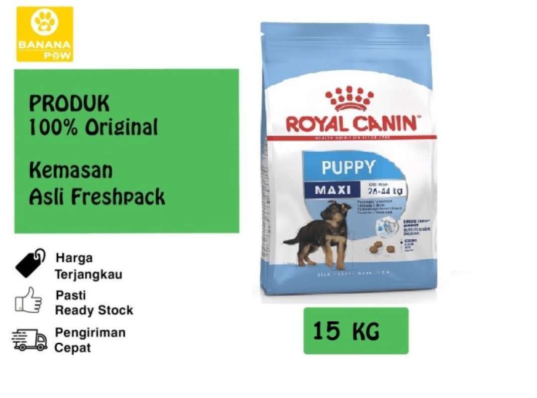 Royal junior maxi on sale