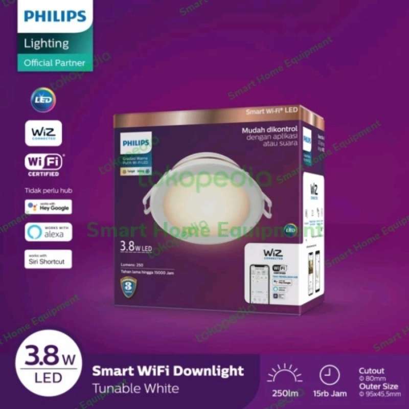 Philips wifi downlight online