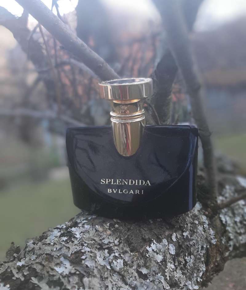 Parfum Bvlgari Jasmin Noir Harga Termurah Maret 2024 Blibli