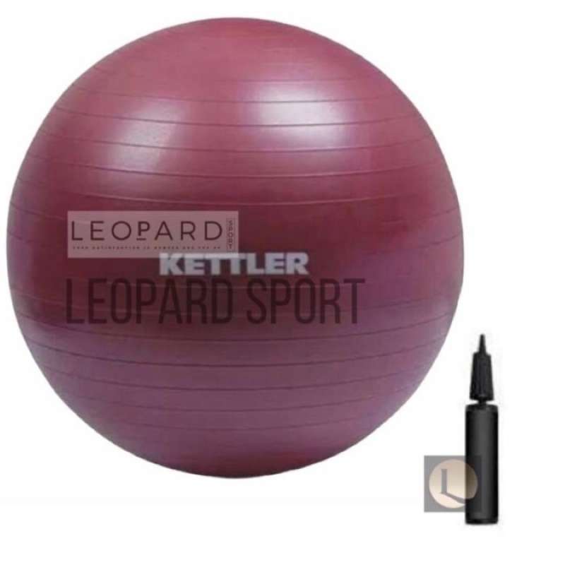 Kettler shop exercise ball