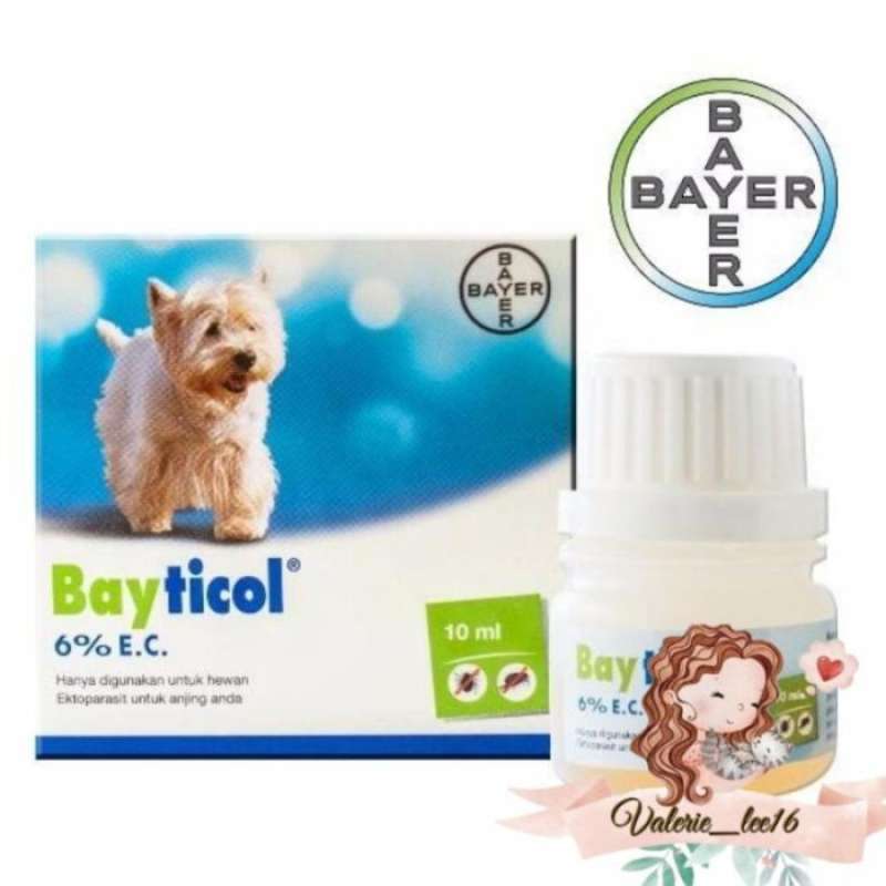 Bayticol for 2024 dogs