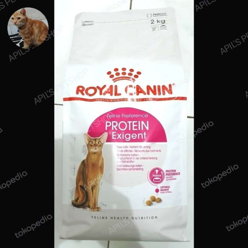 Royal canin hotsell exigent untuk kitten