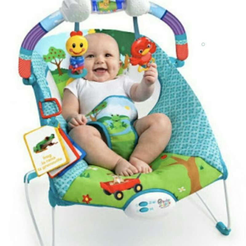 Baby einstein caterpillar's day at the park bouncer shop