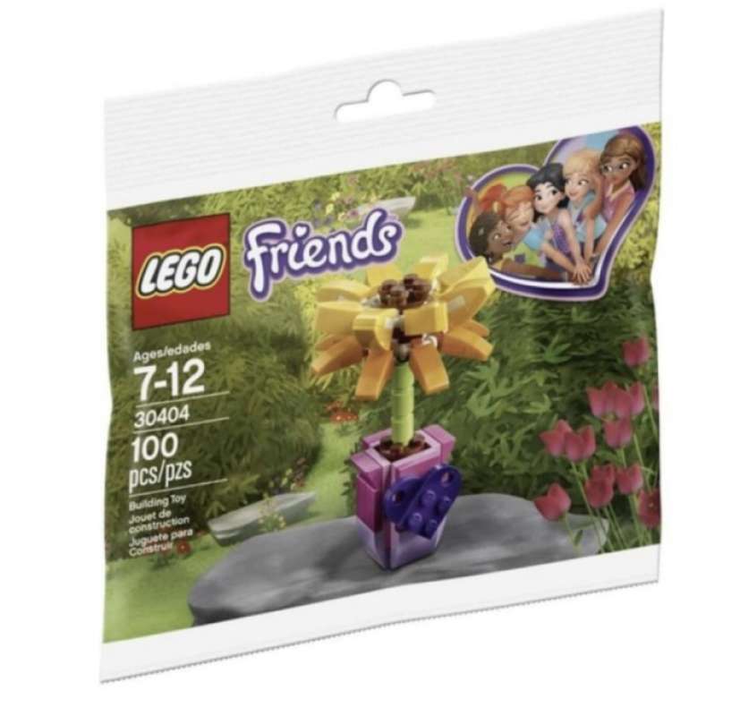Lego hot sale friends 30404