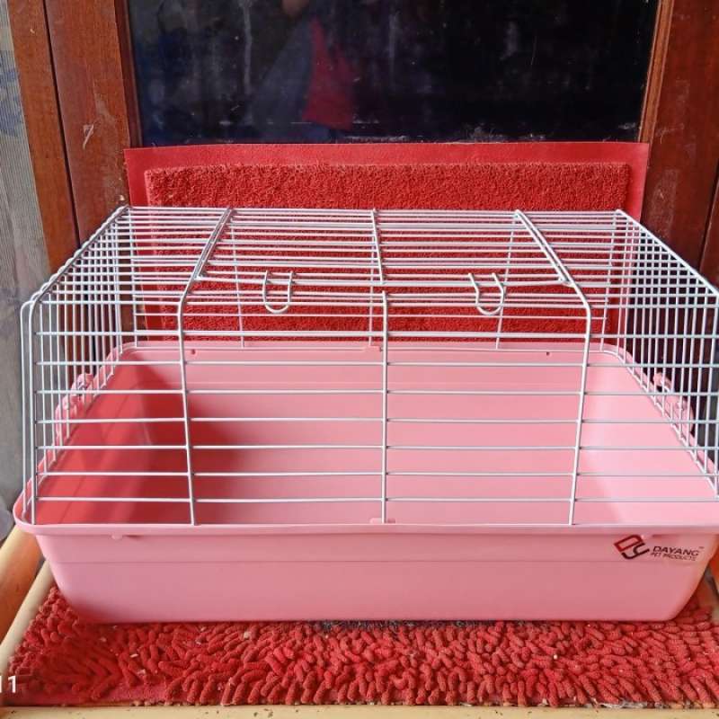 Kandang guinea pig top