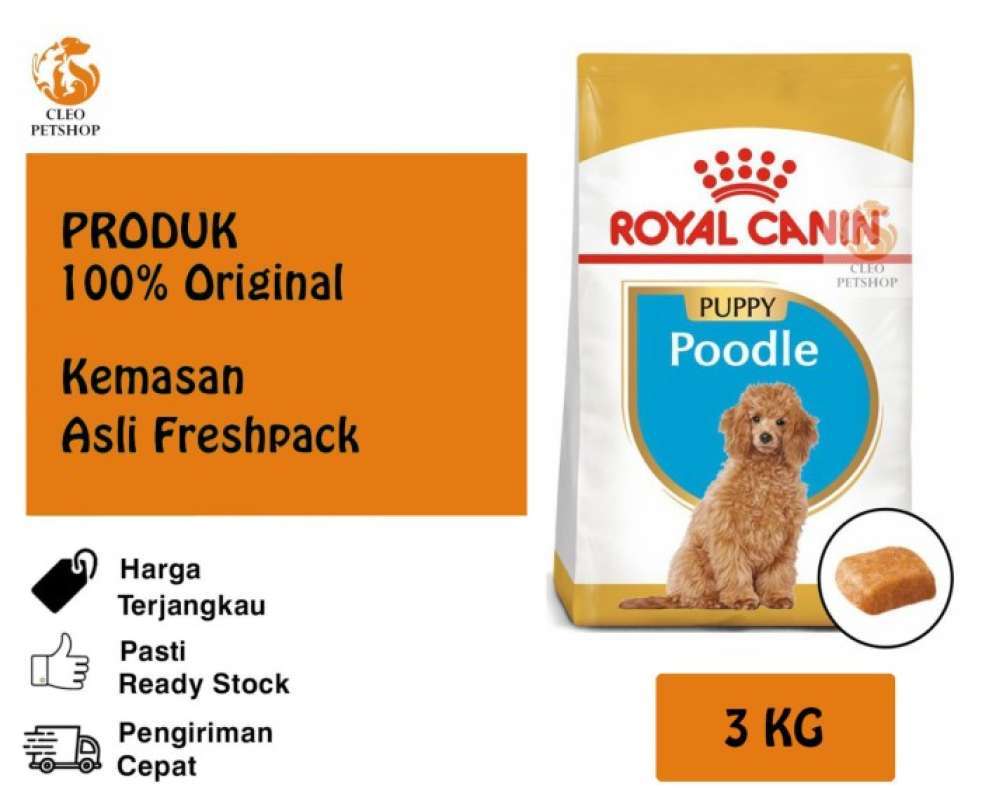 Poodle junior deals royal canin