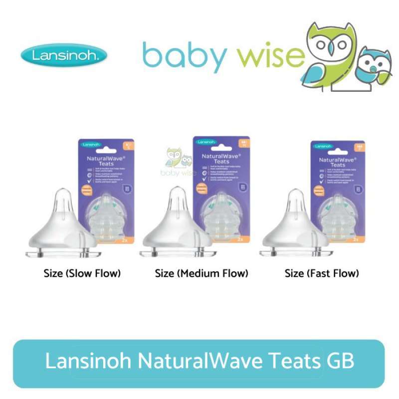 Lansinoh teats slow flow deals