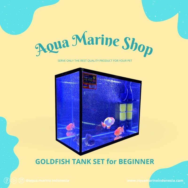 Promo PAKET AQUARIUM IKAN MAS KOKI FULLSET GOLDFISH TANK KIT