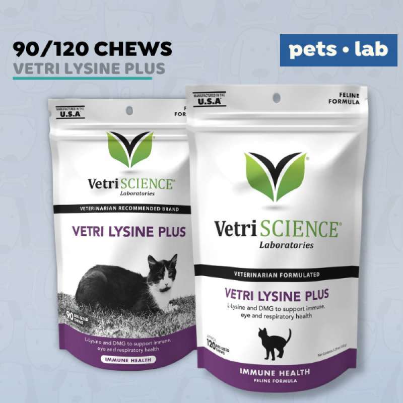 Vetri lysine plus for cats top