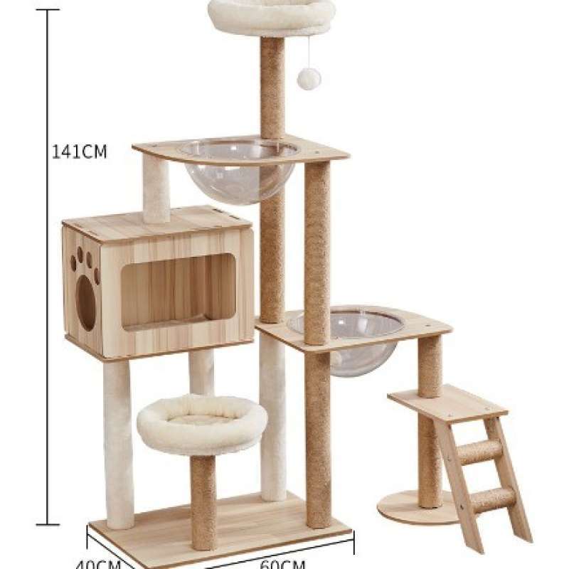 Condo kucing top