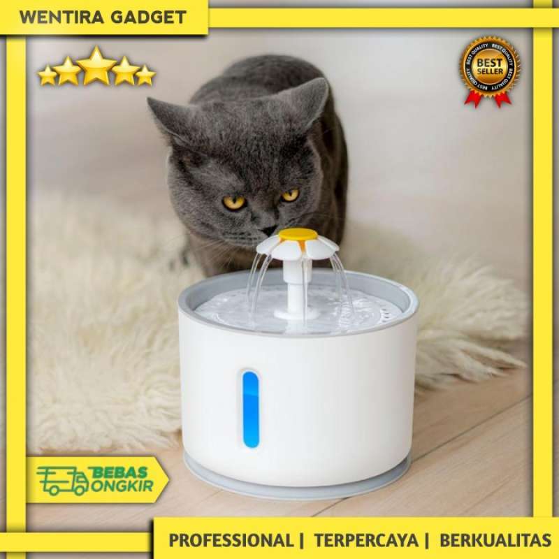 Water fountain kucing 2025