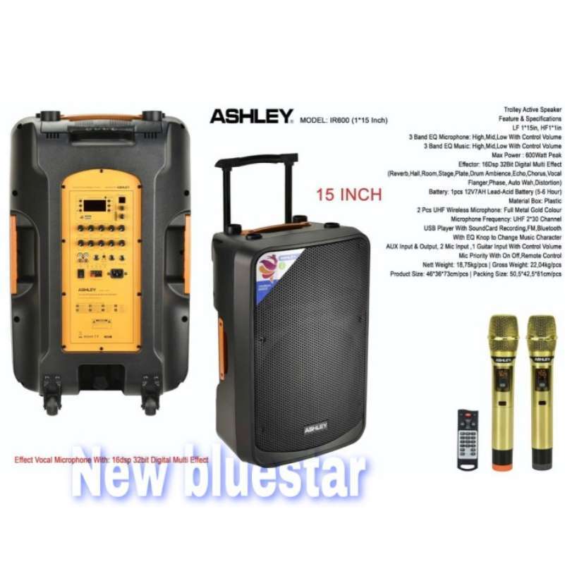 Speaker portable sale wireless 15 inch