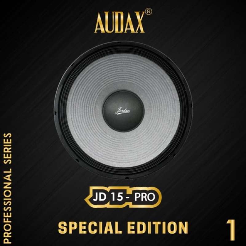 Speaker jordan 12 inch cheap