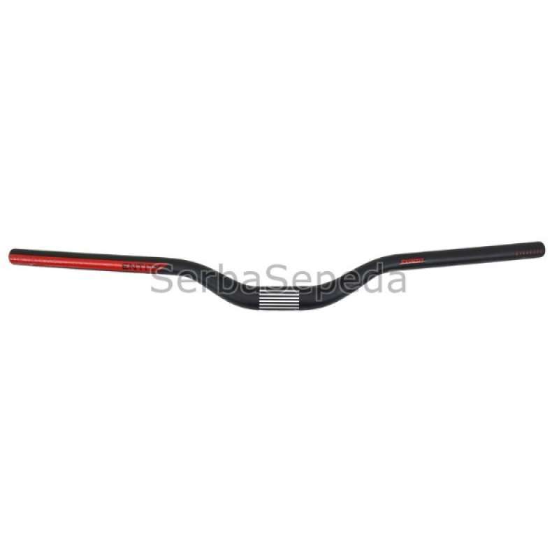 Stang cheap entity mtb
