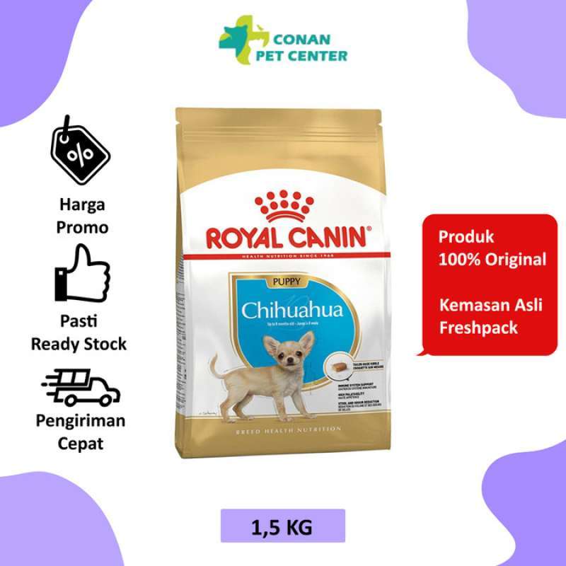 Chihuahua royal hot sale canin junior