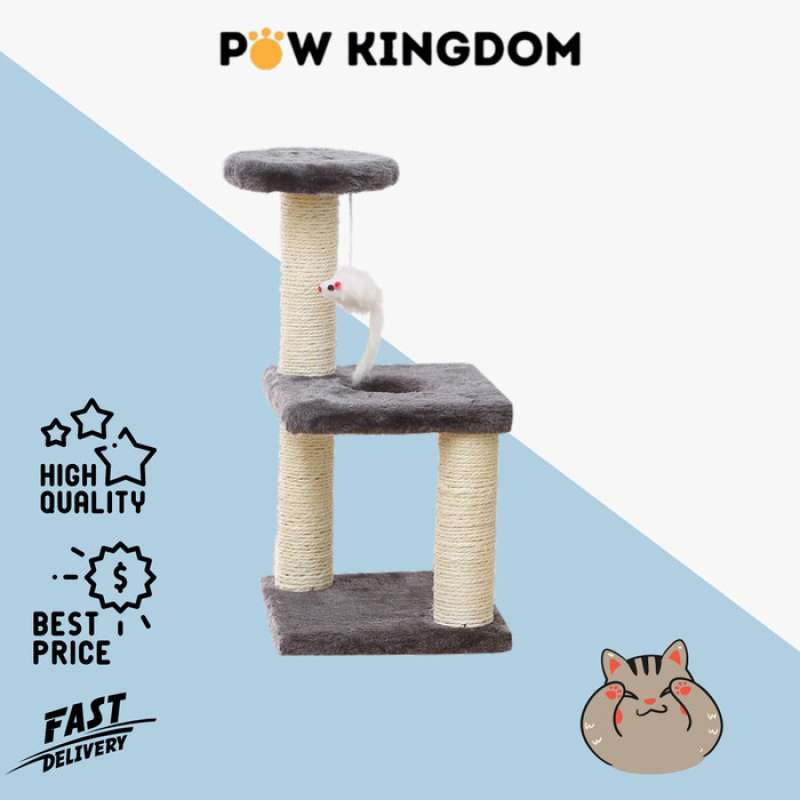 Condo kucing online
