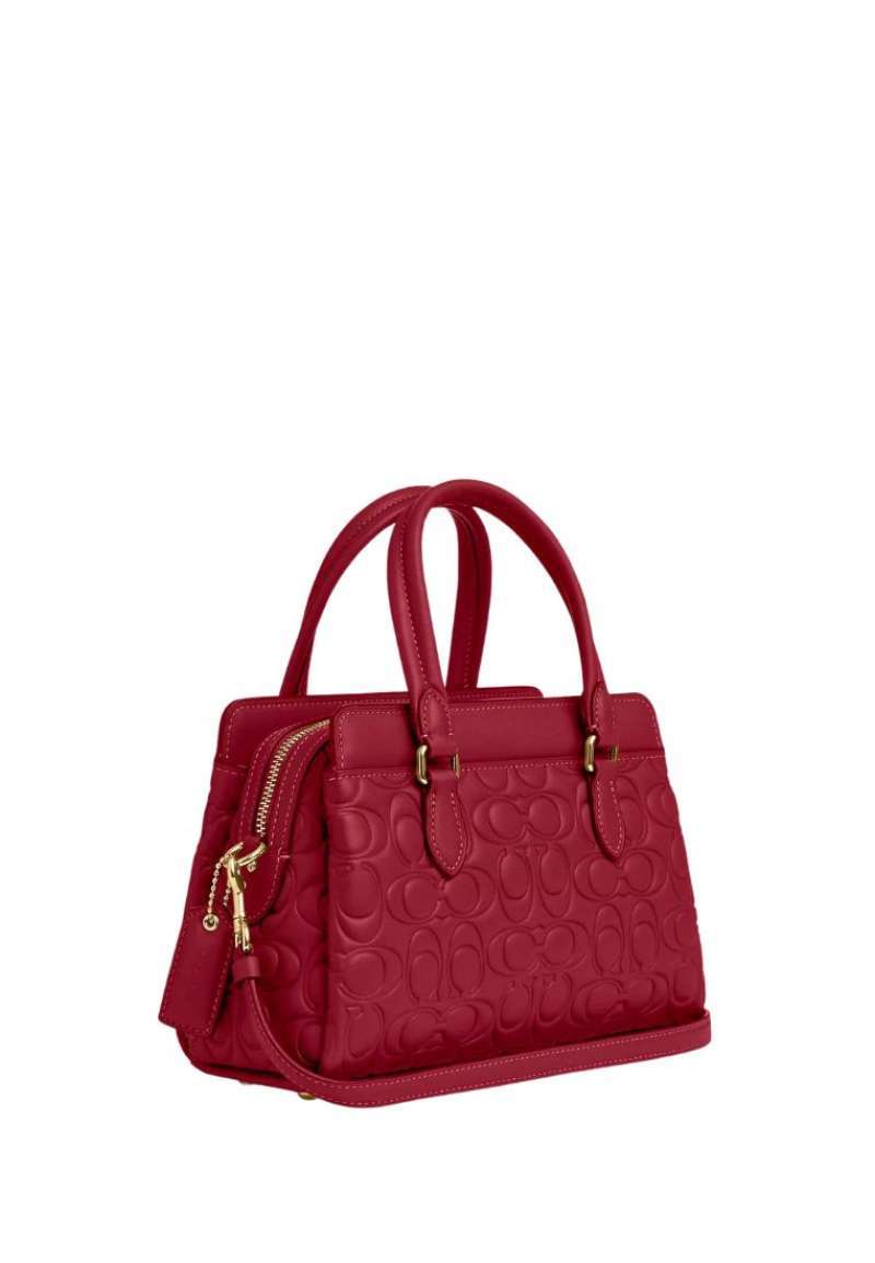 Jambu darcie on sale