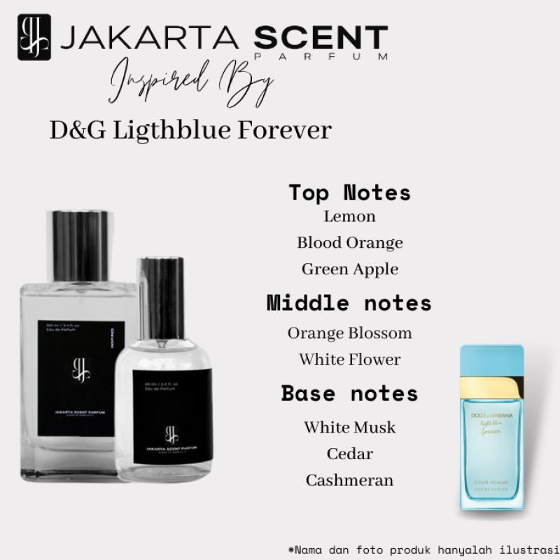 Harga d&g light blue shop