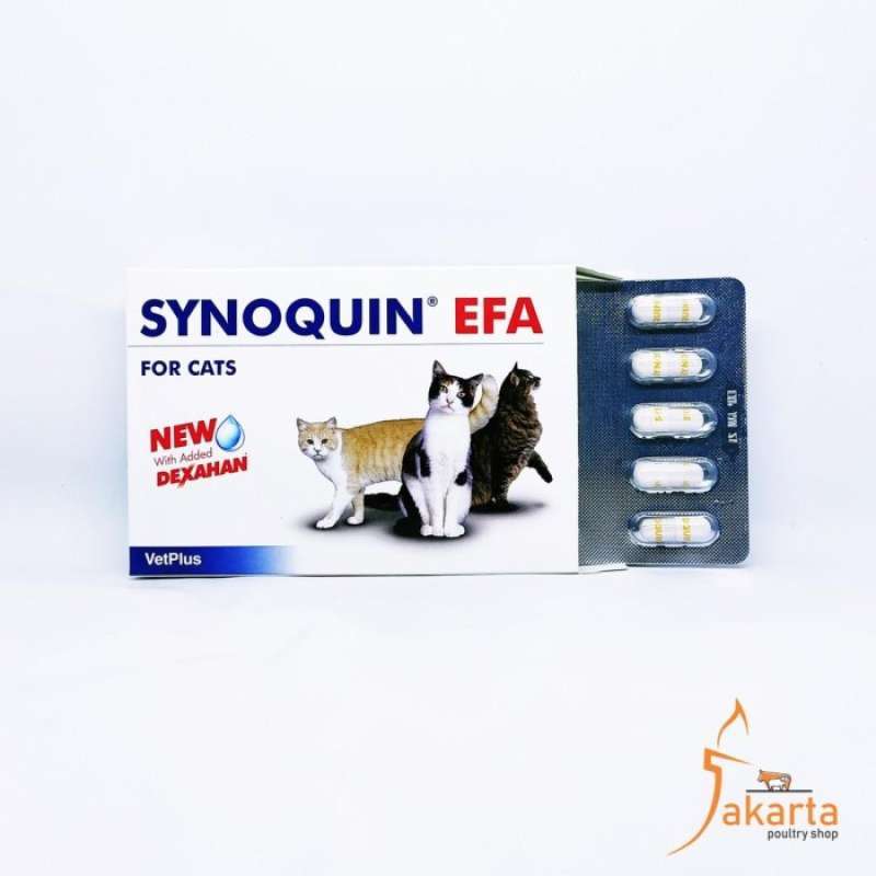 Promo Synoquin Efa Cat Obat Suplemen Persendian Tulang Untuk