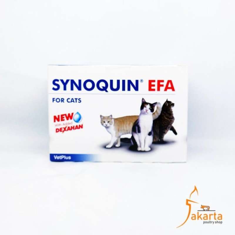 Promo Synoquin Efa Cat Obat Suplemen Persendian Tulang Untuk