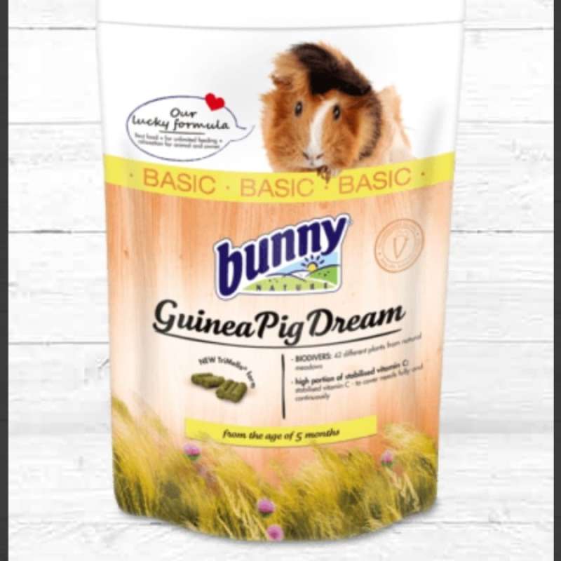 Bunny guinea pig sales dream