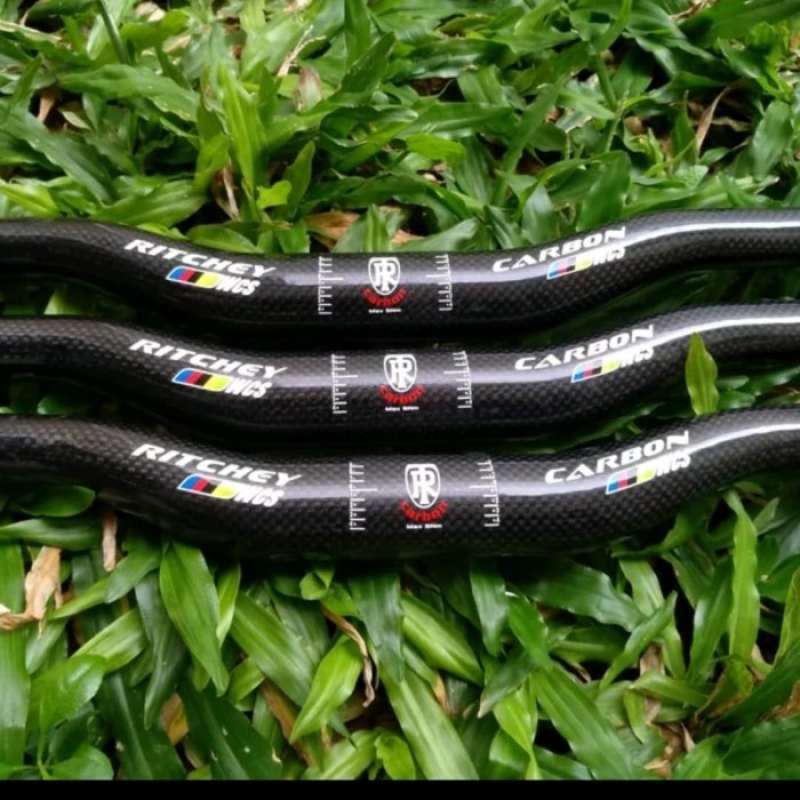Stang ritchey carbon store