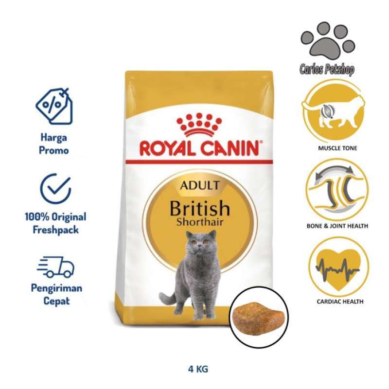 Royal canin online british shorthair 20kg