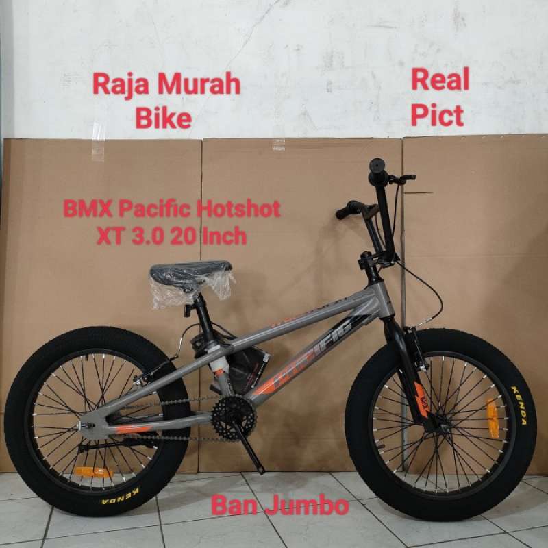 Pacific bmx 20 on sale