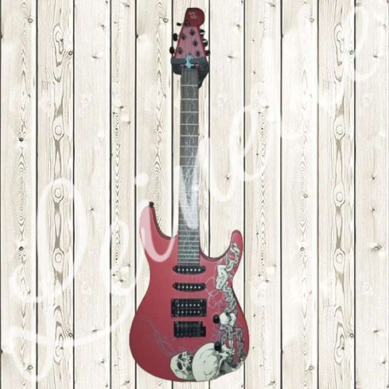 Gitar samick korea shop